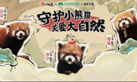 《传说中的合合岛》认养濒危小熊猫，用游戏传播公益正能量