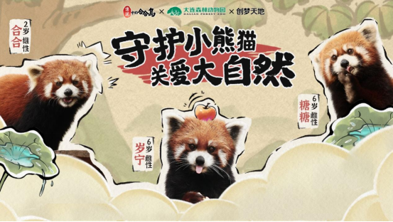 《传说中的合合岛》认养濒危小熊猫，用游戏传播公益正能量