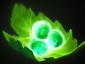 DOTA2不朽尸王怎么玩 DOTA2不朽尸王入门指南