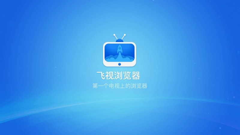 飞视浏览器TV版官方版截图1