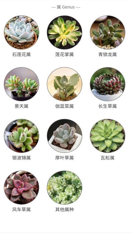 嘟嘟多肉植物鉴截图3