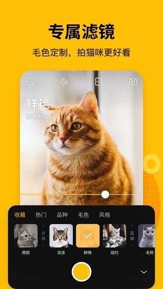 爪叽app截图3