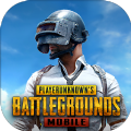 pubgmobile地铁逃生国际服