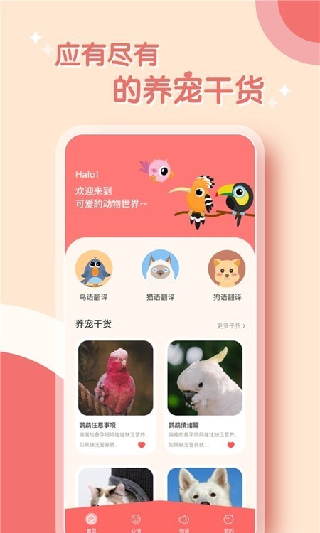 鹦鹉翻译器最新版截图3