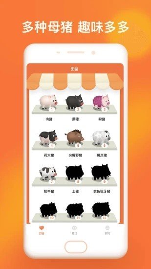 一起来养猪红包版截图2