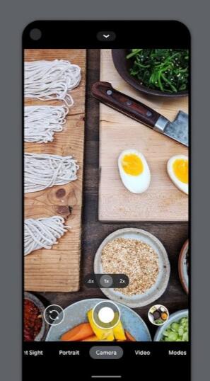 谷歌相机vivo版截图2
