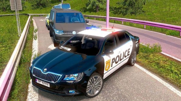 高级警车驾驶截图1