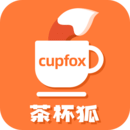 茶杯狐cupfox