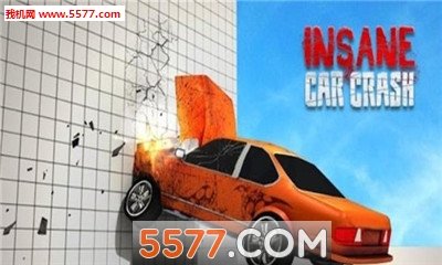 Car Crash手机最新版