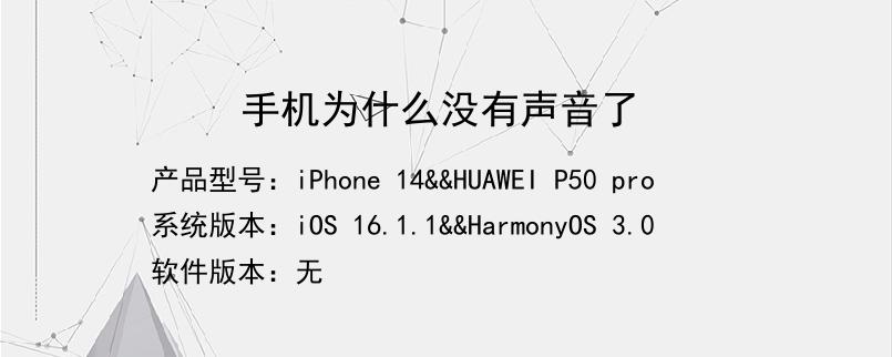 手机为什么没有声音了