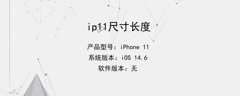 ip11尺寸长度