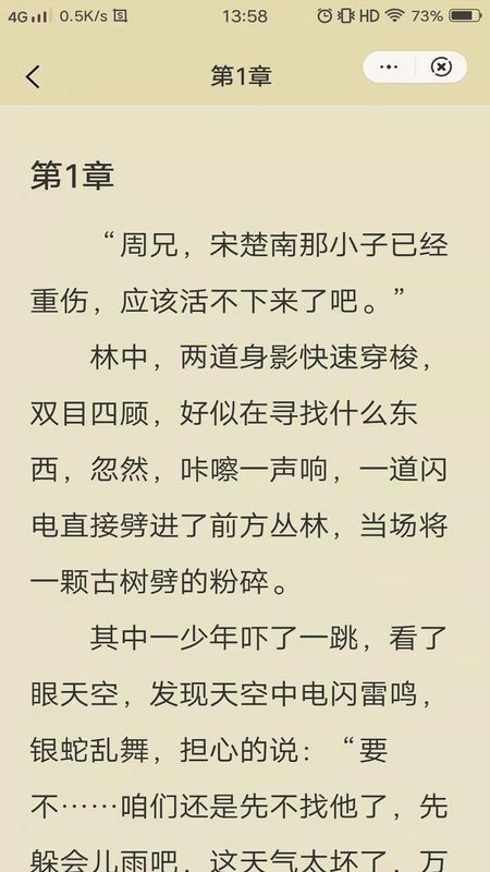 紫霞小说1