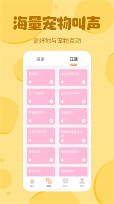 喵喵猫狗翻译器2