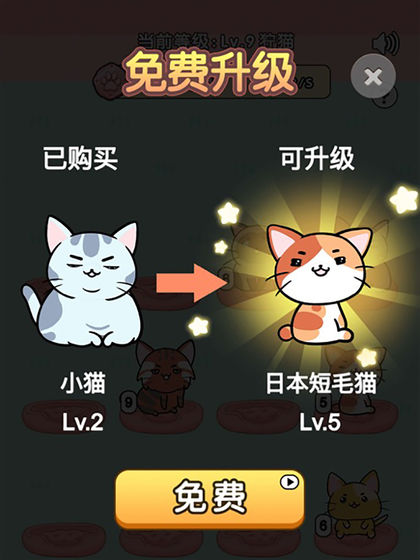 我的小猫游戏截图1