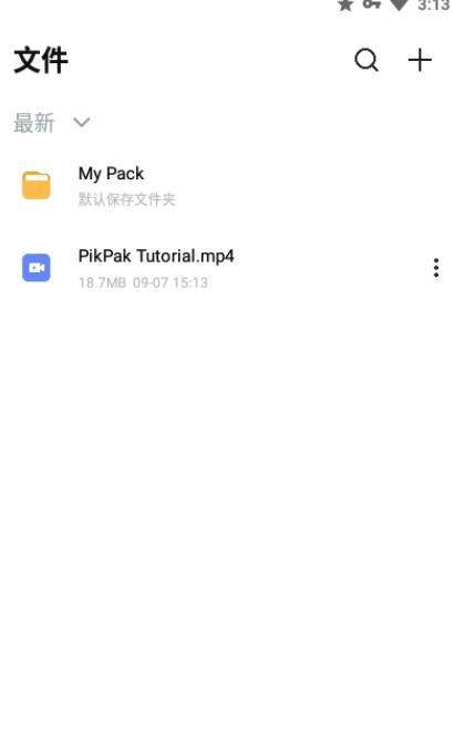 PikPak0