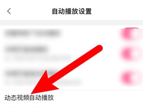 哔哩哔哩怎么关掉动态视频自动播放