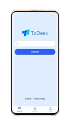 todesk1