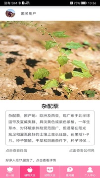 求知拍照识物