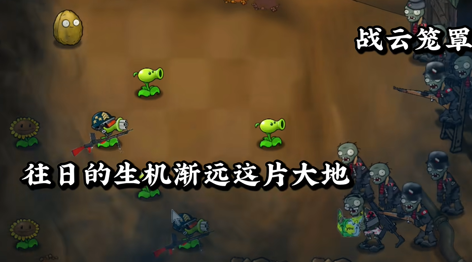 植物大战僵尸重生版无限阳光