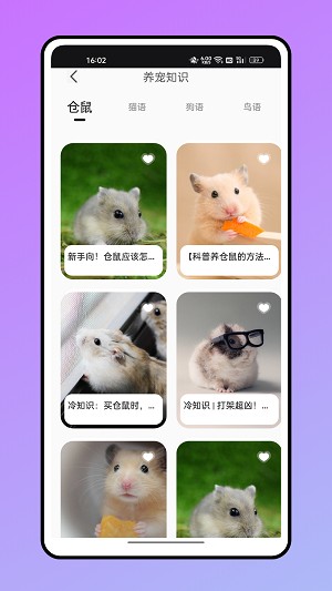 仓鼠翻译器app