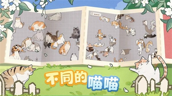 挤在一起的猫猫中文版47600