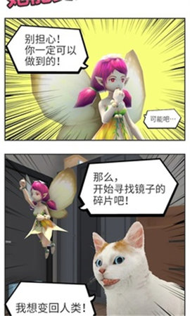 猫的视角1