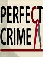 Perfect Crime