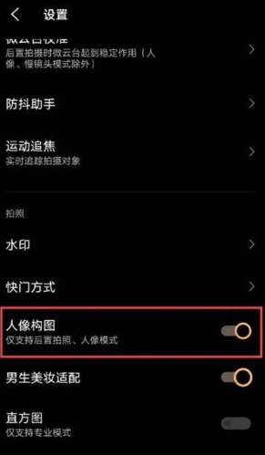 vivoX60人像构图如何设置