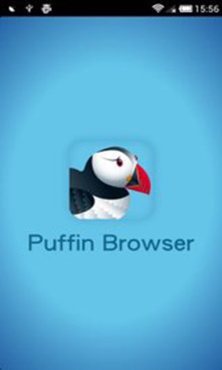 puffin浏览器截图3