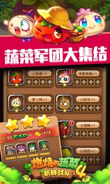 燃烧的蔬菜4最新版截图2