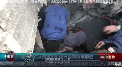 乐看电视tv版截图2