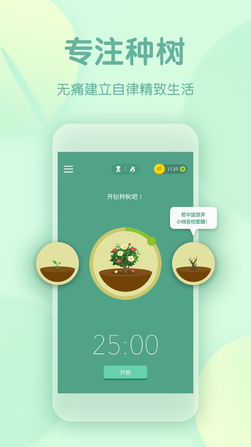 forest专注森林最新版本