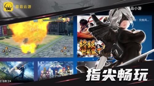 蘑菇云游戏tv版