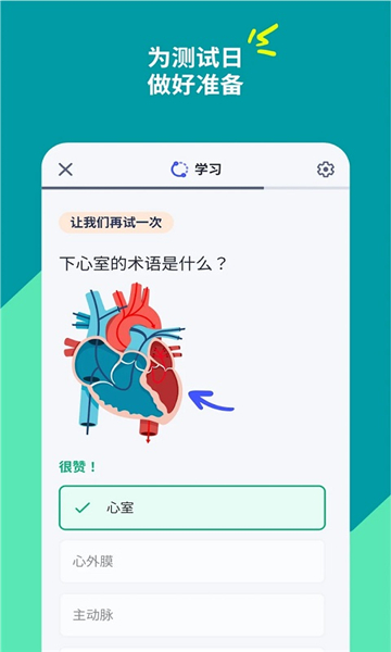 Quizlet截图2