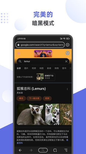 狐猴浏览器最新版截图1