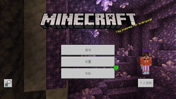 我的世界基岩版1.6(Minecraft)