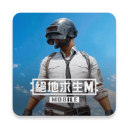 pubg mobile