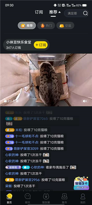 街猫2024版