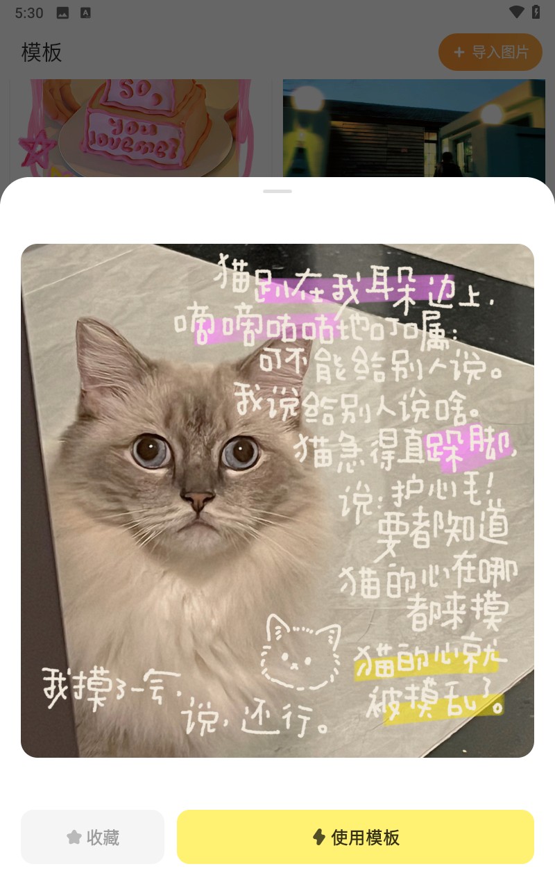 黄油相机app