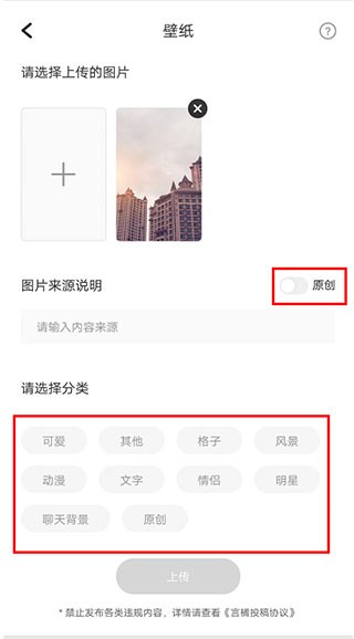 言橘app怎么投稿3