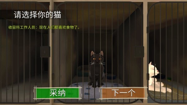 顽皮猫生活模拟