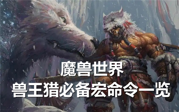 魔兽世界兽王猎必备宏命令有哪些