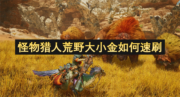 怪物猎人荒野大小金如何速刷