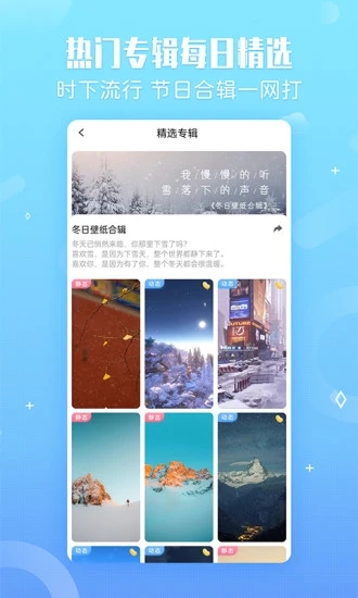 小鸟壁纸app截图3