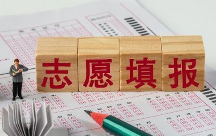 高考模拟志愿填报