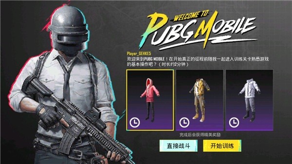 和平精英国际服pubg