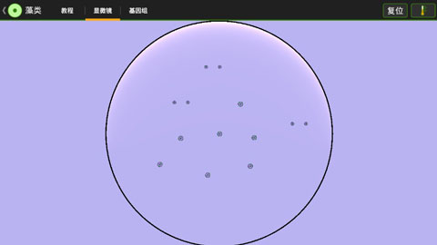 细胞实验室截图1