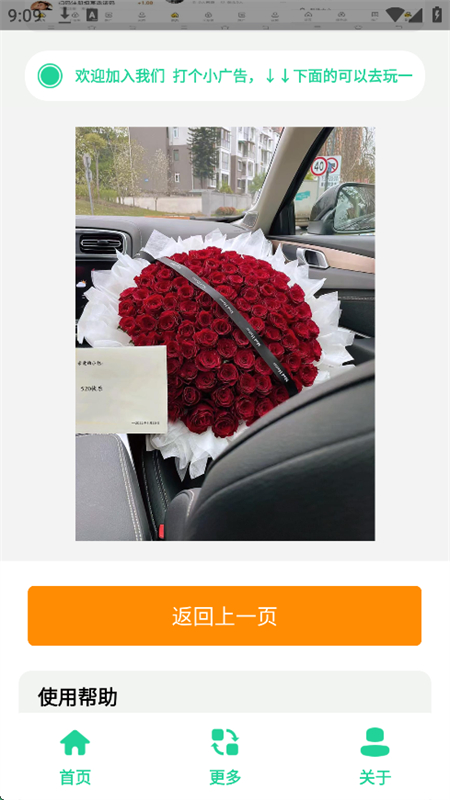 520束玫瑰花图截图4