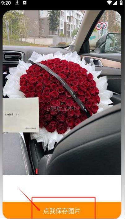 520束玫瑰花图