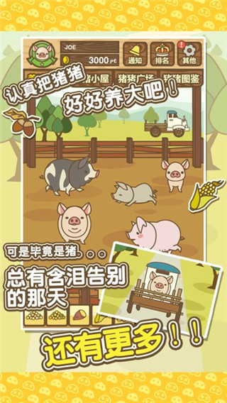 养猪场mix最新版本截图1